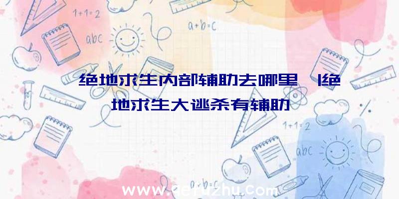 「绝地求生内部辅助去哪里」|绝地求生大逃杀有辅助